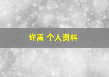 许嵩 个人资料